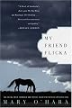 My Friend Flicka by Mary O'hara