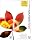 Adobe Creative Suite Premium ���{��� Windows�� ���߸�ڰ�ޔ�