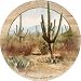 Saguaros Sandstone Thirstystone Coasters