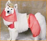 Harem Dog Costumes Pet Halloween Costumes
