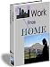 Book Work from Home You Can Do It and Love It!! (Work From Home)