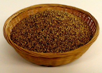 Organic Sprouting Seeds Red Clover by The Sprout House