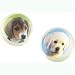 Party Pups Bounce Ball Favors (4 count)