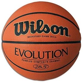 Wilson Evolution Basketball - Women's