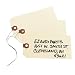 Avery Shipping Tags, Paper/Double Wire, 5.25 x 2.625 Inches, Manila, Pack of 1000 (12606)
