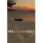 Perfect Family: A Novel