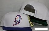 New York Mets Snapback White / Blue Two Tone Adjustable Plastic Snap Back Hat / Cap