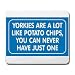 YORKIES ARE A LOT LIKE POTATO CHIPS, YOU CAN NEVER HAVE JUST ONE Mousepad