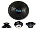 Acoustic Audio BASS10 700 Watt 10