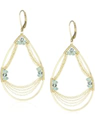 Dana Kellin Dramatic Apatite Swag 14K Gold-filled Chain Earrings