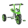 Kawasaki Tricycle - Silver/Green (10")