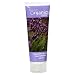 Desert Essence Organics Body Care Hand and Body Lotion, Bulgarian Lavender , 8-Ounces...