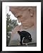 A Woman Lays Flowers on the Unknown Soldier Monument Near the Brest Fortress Places F...