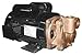 DAYTON 4JPE8 Turbine Pump, 2 HP, 1 Ph, 16.6/8.3 Amp