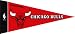 Basketball Pennants: NBA Mini Chicago Bulls Pennant