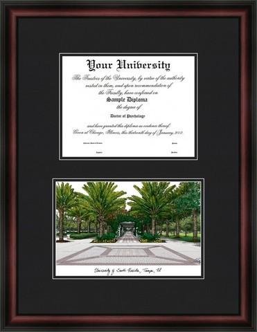 University of South Florida Diplomate Diploma Frame & Lithograph