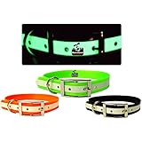New Glow In the Dark Dog Collar, Strong TPU Safety Collar, Suitable for Dogs or Cats, Color Green, Size Small, By Downtown Pet Supply