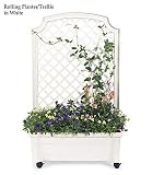 Self-watering Planter/trellis