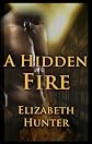 A Hidden Fire