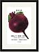Black Framed/Matted Print 17x23, Beet: Detroit Dark Red