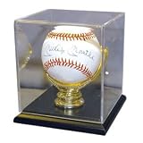 Single Baseball Gold Glove Display Coach's Corner