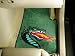 Alabama (Birmingham) Blazers Car Mats 2 Piece Car Floor Mat (Rug) -