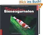 Faszination Bienengarnelen