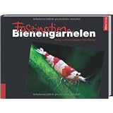 Faszination Bienengarnelenvon "Carsten Logemann"