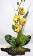 21" Phaleonpsis Orchid on Bark Branch