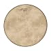 Remo Banjo Head, 11", High Collar Fibers