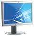 HP L2335 - LCD display - TFT - 23" - 1920 x 1200 / 60 Hz - 250 cd/m2 - 500:1 - 16 ms - 0.258 mm - DVI-I, VGA - silver, carbon