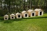 Pet Supplies : Cedar Dog House - Giant Breeds Size