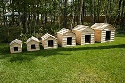 Cedar Dog House - Large Breeds Size