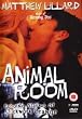 Animal Room [UK Import]