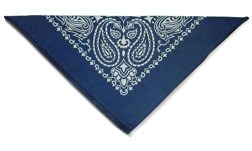 Childrens Toyshop  Sporting Goods : Bandanna Navy Blue