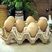 Terracotta Egg Rack (12)