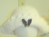 Ht122, Hand Crocheted Ivory Chenille and Gimp Tweed Floppy Hat with One Black Rhinestone Butterfly for Infants and Toddlers
