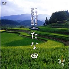 Eye Experience ���ȓc [DVD]
