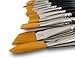 Solabela® Artist Brushes. Set of 15 – Rome Art Brush Set