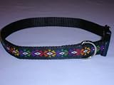 Pet Supplies : Sandia Pet Products Sunburst Pattern Medium Dog Collar