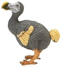 Safari: Dodo Bird