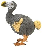 Safari: Dodo Bird