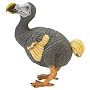 Safari: Dodo Bird