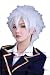 NEW fashion HOT sexy White Fluffy Straight Anime cosplay wigs party Masquerade girls 35CM