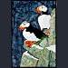 Cliff Dwellers Puffin Applique Bigfork Bay Daniel Smith Quilt Pattern