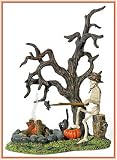 Bone Appetite