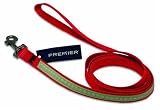 Nite Lite Leash 3/4 x 6 Red