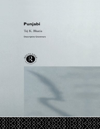 Punjabi (Descriptive Grammars)