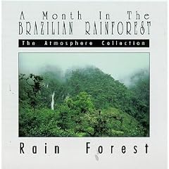 A Month in the Brazilian Rainforest - Rain Forest