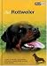 The Rottweiler: A Guide to Selection, Care, Nutrition, Upbringing, Training, Health, Sports and Play (About Pets)